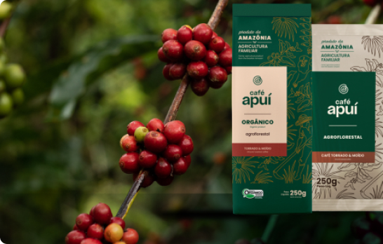 Café Apuí Agroflorestal